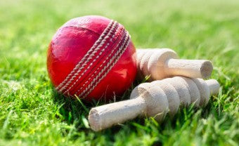 Cricket